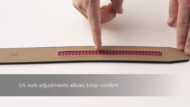 Nexbelt 2020 Classic Colour V4 Belt