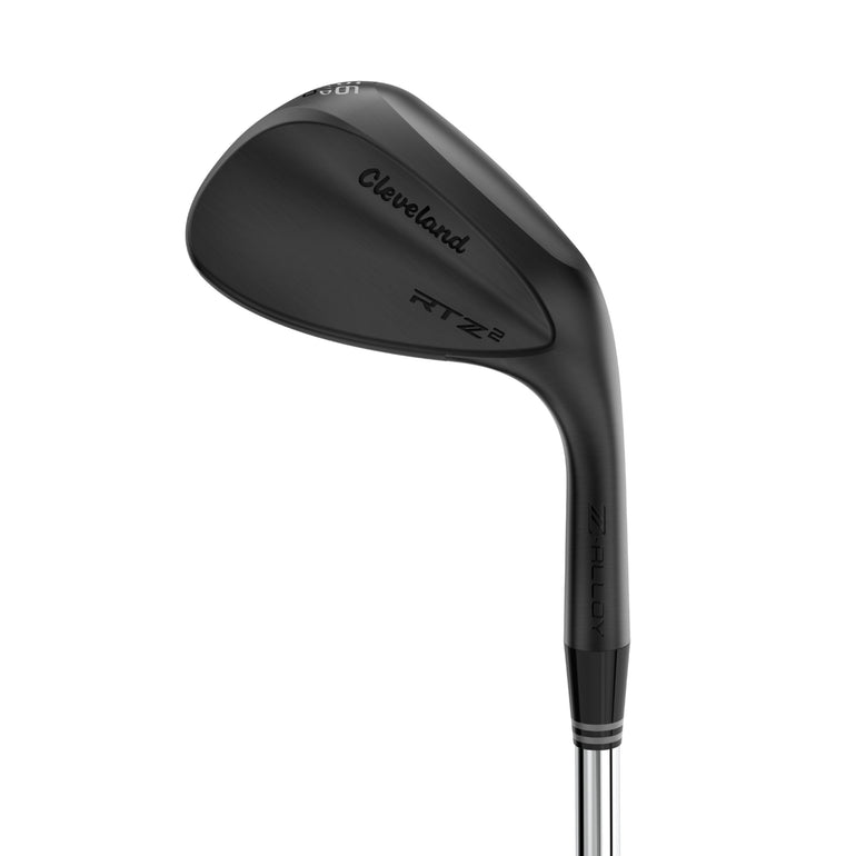 Cleveland RTZ 2 Black Satin Wedges