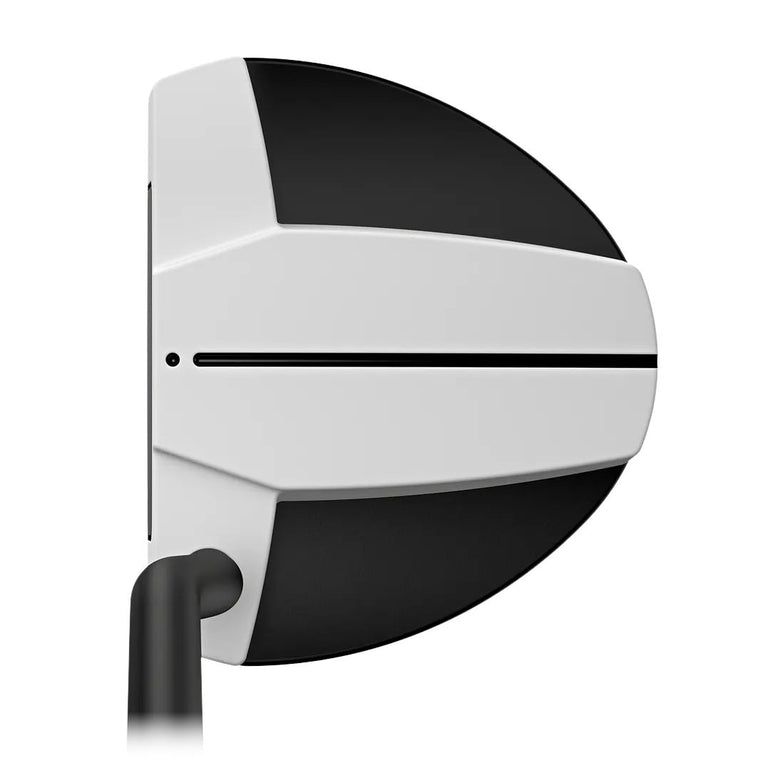 Ping Socttsdale Tec Hayden Putter