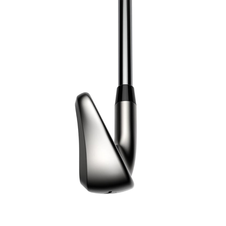 Cobra DS Adapt Iron Set