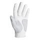 FootJoy Men's WeatherSof Golf Glove 2 Pack - Left Hand Regular