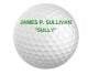 Titleist 2014 NXT Tour Personalized Golf Balls Green
