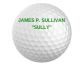 Titleist 2014 Velocity Personalized Golf Balls Green