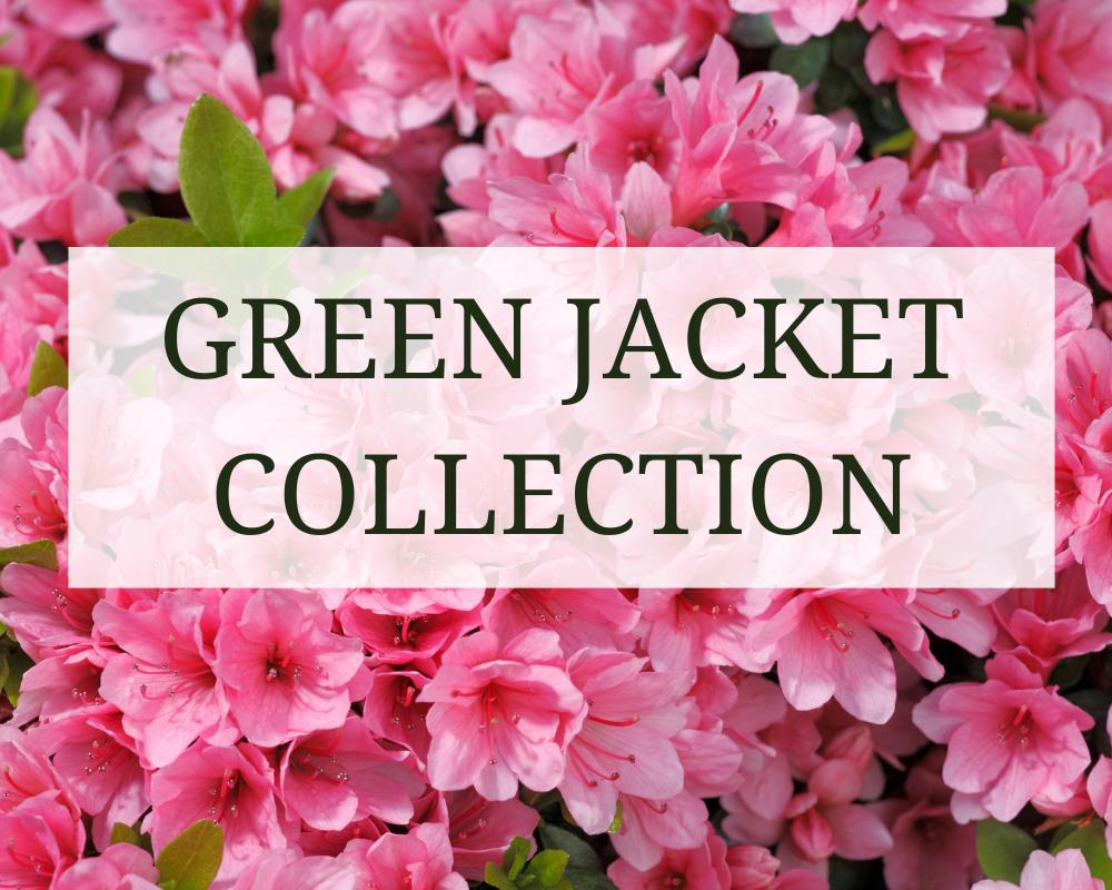 Green Jacket Collection | Austad's Golf - The Leader in Golf Since 1963